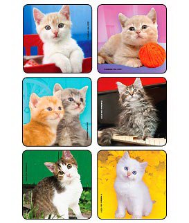 Picture of Kids Love Stickers® 90 per Unit Cute Kitten Photos , Assorted Sticker2901P