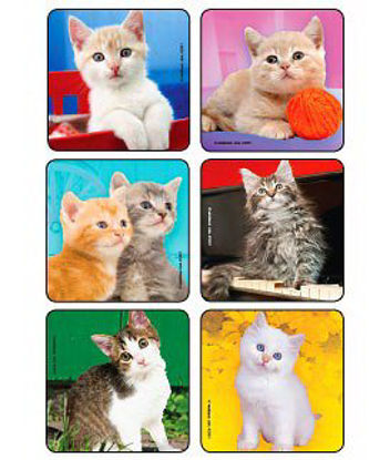 Picture of Kids Love Stickers® 90 per Unit Cute Kitten Photos , Assorted Sticker2901P