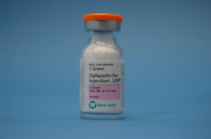 Picture of Cefazolin Sodium 1 Gram Injection Single Dose Vial 10 mL00143992490