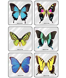 Picture of MiniBadges™ 75 per Unit Foil Butterflies Sticker2685