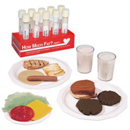 Picture of Test Tube Display and Food Replica Set How Much Fat? Test Tube Display - Part I (WA16053G) and Nasco Fats and Food Replica KitWA19652