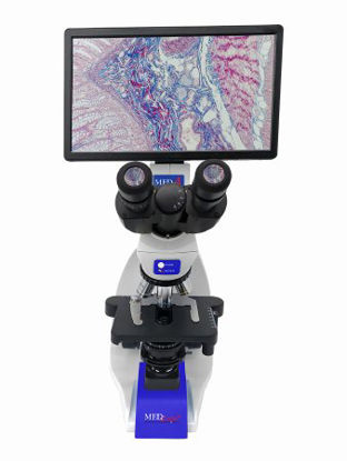 Picture of Med-Scope™ MedDI4-P2 Physician Compound Microscope Digital Head Infinity Corrected Plan Phase 4X / 10X / 40X / 100X External DC Auto Switching Power Supply / 110 to 240V Coaxial X / Y Mechanical Stage with Adjustable TensionMEDDI4-P2