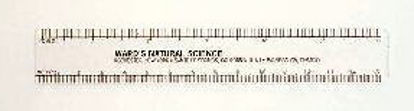 Picture of Ruler Wards® Plastic 6 Inch140810