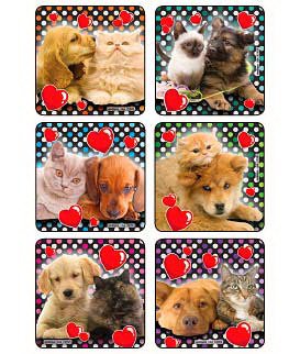 Picture of Kids Love Stickers® 90 per Unit Lovable Dog n Cat Photos , Assorted Sticker2904