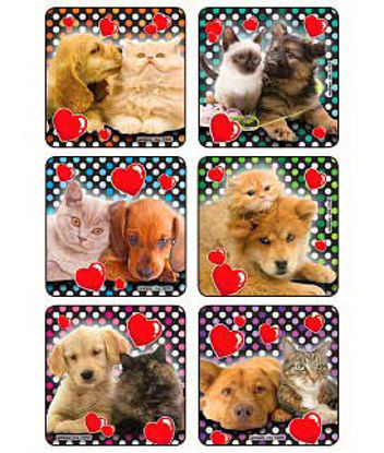Picture of Kids Love Stickers® 90 per Unit Lovable Dog n Cat Photos , Assorted Sticker2904