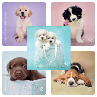 Picture of SmileMakers® 100 per Unit Rachael Hale Dog Sticker 2.5 InchST237R