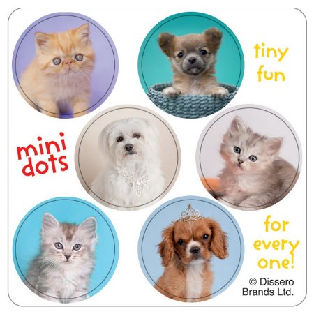 Picture of SmileMakers® 100 per Unit Rachael Hale Mini Dot Sticker 2.5 InchST1054R