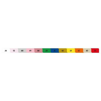 Picture of Divider Set Jan, Feb, Mar, Apr, May, Jun, Jul, Aug, Sep, Oct, Nov, DecM2570