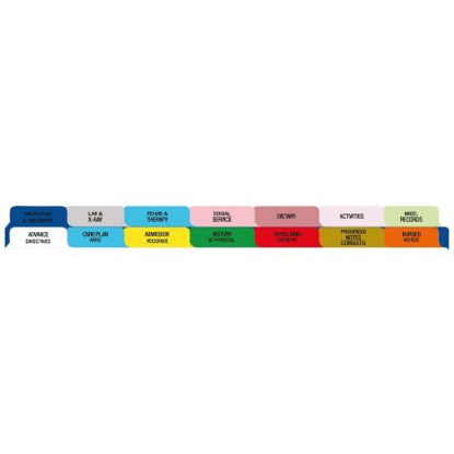 Picture of Chart Divider Medical InformationM2460