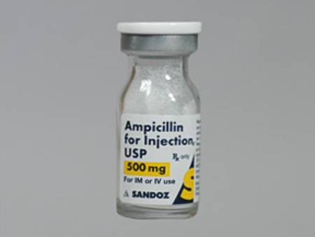 Picture of Ampicillin Sodium 500 mg / 8 mL Injection Vial 8 mL00781340795