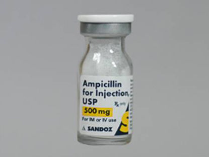 Picture of Ampicillin Sodium 500 mg / 8 mL Injection Vial 8 mL00781340795