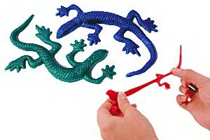 Picture of Kids Love Stickers® 36 per Unit Stretchy Lizard Toy Chest 5.5 Inch4591