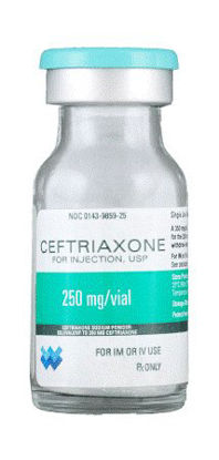 Picture of Ceftriaxone Sodium 250 mg Injection Vial 10 mL00143985925