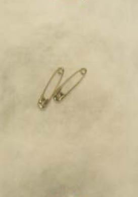 Picture of Safety Pin Number 1 Stainless Steel Sterile15102/100