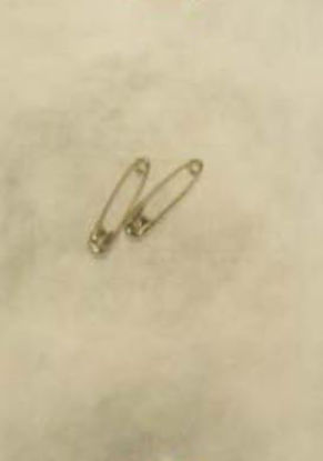 Picture of Safety Pin Number 1 Stainless Steel Sterile15102/100