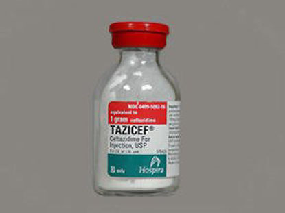 Picture of Tazicef® Ceftazidime 1 Gram Injection Vial00409508216