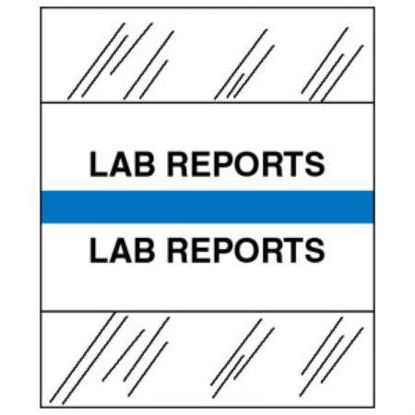 Picture of Index Tab 1 1/4 Inch Lab Reports54530