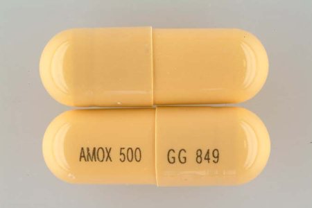 Picture of Amoxicillin 500 mg Capsule Bottle 100 Capsules00781261301