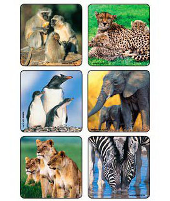 Picture of 90 per Unit Animal Family Photos , Assorted Sticker2744P