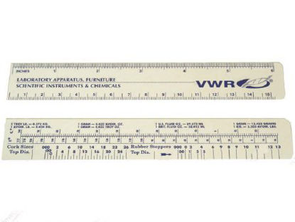 Picture of Ruler Plastic 6 InchNC9759439