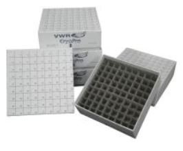 Picture of Storage Boxes with Dividers VWR®82021-126