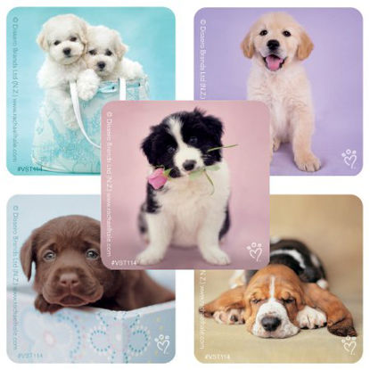 Picture of ValueStickers™ 250 per Unit Rachael Hale Dogs Sticker 1.625 InchVST114R