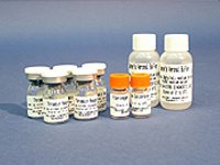 Picture of Reagent Coagulation Thrombin 200 Tests 10 X 2 mL5374