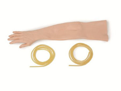 Picture of Skin & Arteries Laerdal®375-80150