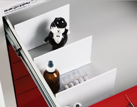 Picture of Magnetic Divider12668