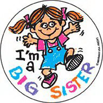 Picture of Disney® 90 per Unit Big Sister Medical StickerM241