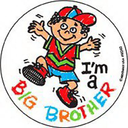 Picture of Disney® 90 per Unit Big Brother Medical StickerM240