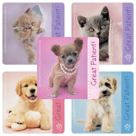 Picture of SmileMakers® 100 per Unit Rachael Hale Dog Sticker 2.5 InchST307R