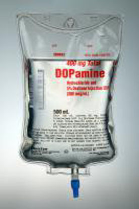Picture of Dopamine HCl / Dextrose 5% 3,200 mcg / mL Solution Flexible Bag 250 mL2B0846