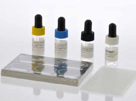 Picture of Rapid Test Kit Microscreen® Latex Agglutination Test Campylobacter Solid Selective Media Sample 50 TestsF46