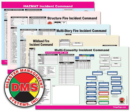 Picture of Incident Form DMS Incident Command WorksheetDMS 05568
