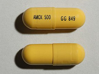 Picture of Amoxicillin 500 mg Capsule Bottle 360 Capsules00781261376