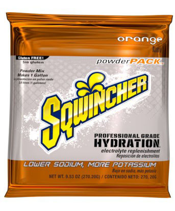 Picture of Electrolyte Replenishment Drink Mix Sqwincher® Powder Pack® Orange Flavor 23.83 oz.X387-M3600