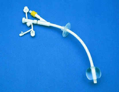 Picture of Gastrostomy Feeding Tube with Y Ports Kangaroo™ 12 Fr. Silicone Sterile8884715122