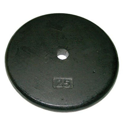 Picture of Weight Plate 25 lbs.10-0606