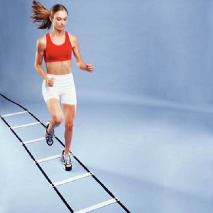 Picture of Agility Ladder 15 L Foot X 20 W Inch929458