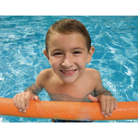 Picture of NOODLE, POOL CANDO 2.25"X54"081602317