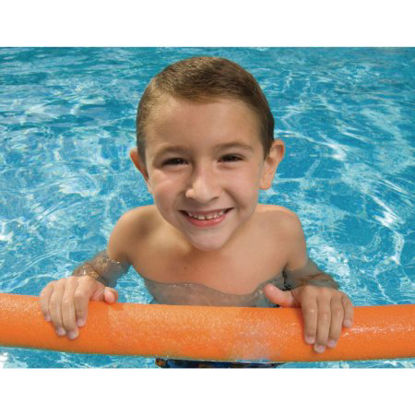 Picture of NOODLE, POOL CANDO 2.25"X54"081602317