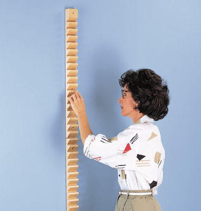 Picture of Shoulder Ladder 1-1/2 L X 2-1/2 W X 58 H Inch2515