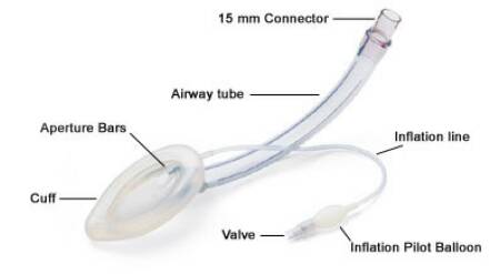 Picture of LMA® Unique™ Standard Laryngeal Mask Adult User Size 4 Clear Sterile Disposable125040