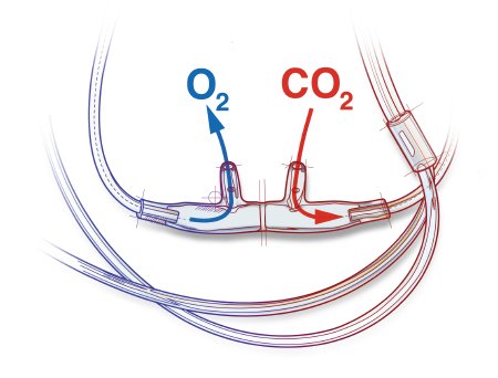 Picture of ETCO2 Nasal Sampling Cannula with O2 Delivery With Oxygen Delivery Salter-Style® Adult Curved Prong / NonFlared Tip4707-7-7-25