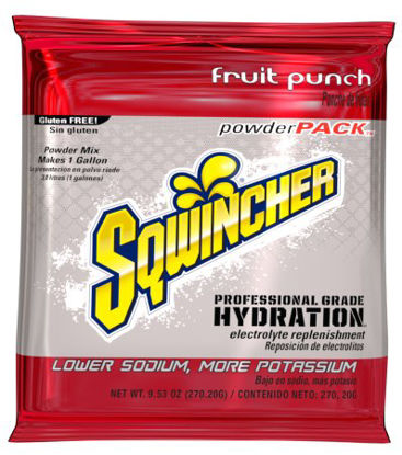 Picture of Electrolyte Replenishment Drink Mix Sqwincher® Powder Pack® Fruit Punch Flavor 9.53 oz.X380-MC600