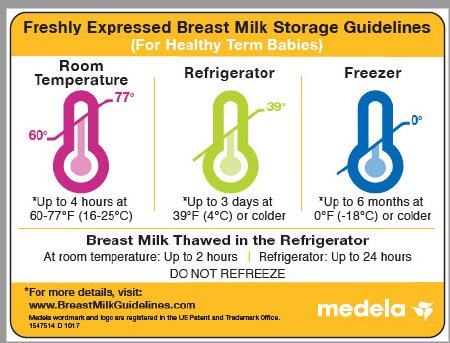 Picture of Breast Milk Storage Guidelines Magnet101029440