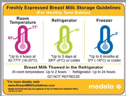 Picture of Breast Milk Storage Guidelines Magnet101029440