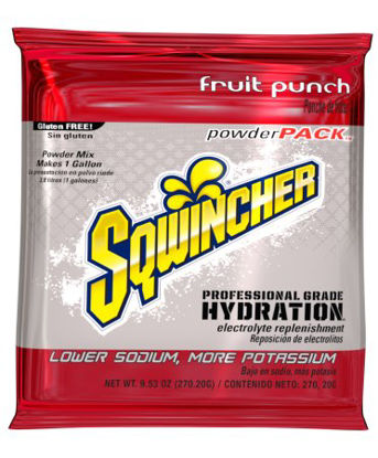Picture of Electrolyte Replenishment Drink Mix Sqwincher® Powder Pack® Fruit Punch Flavor 23.83 oz.X357-M3600