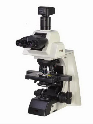 Picture of Accu-Scope® EXC-500 Series Compound Microscope Binocular Head NIS Infinity Corrected PLAN 4X, 10X, 40XR, 100XR Oil 110 to 240V Mechanical StageEXC-500